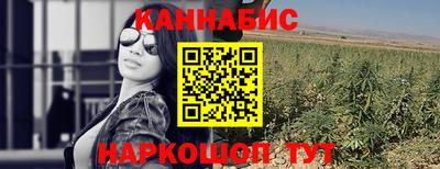 дурь Шелехов