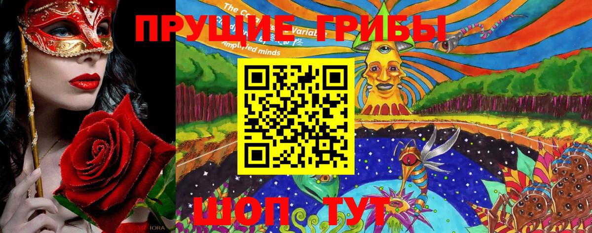 Галлюциногенные грибы прущие грибы  Галлюциногенные грибы MAGIC MUSHROOMS  Вход с VPN  Вязьма 