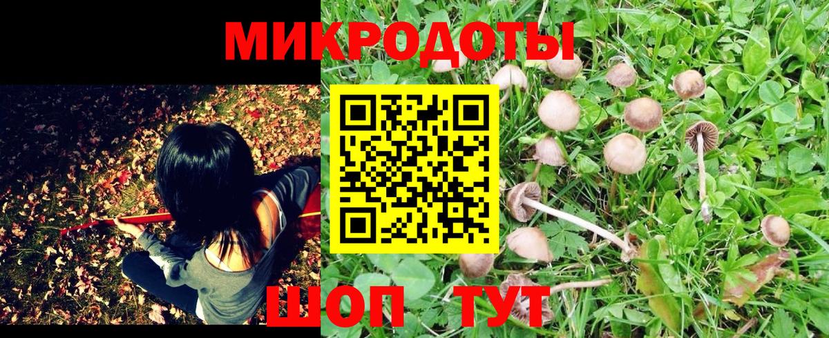 Галлюциногенные грибы Magic Shrooms Вязьма